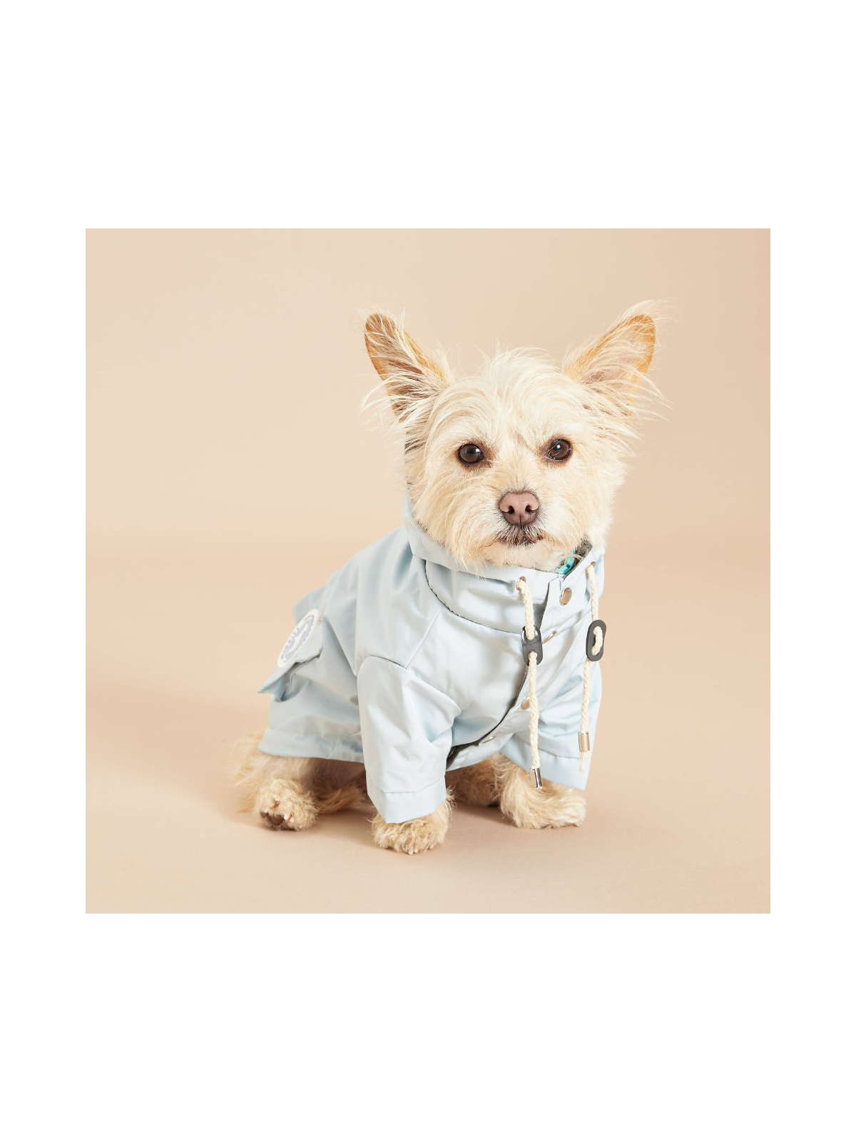 Original Lightweight Dog Raincoat – Blue