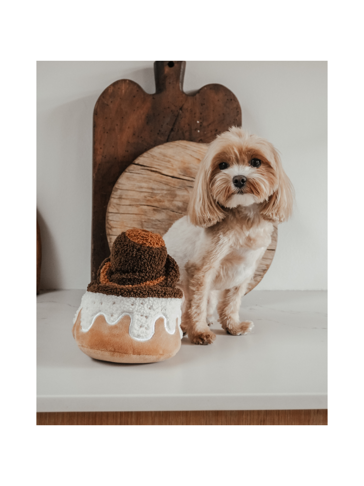 Cinnamon Roll Interactive Dog Toy