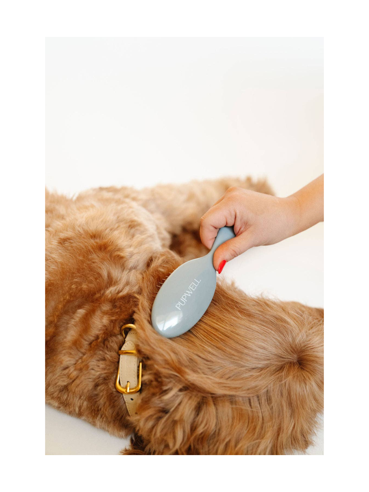 Gentle Detangling Brush