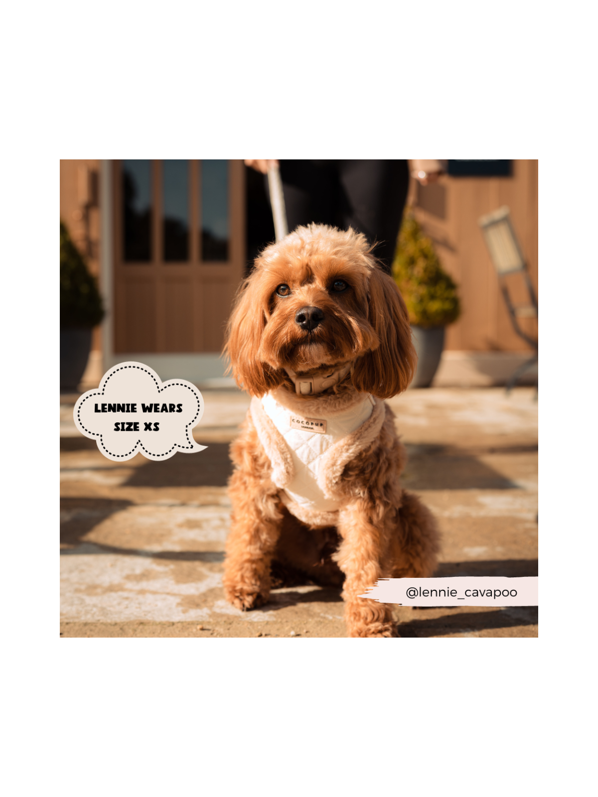 Quilted Adjustable Neck Harness - Cream