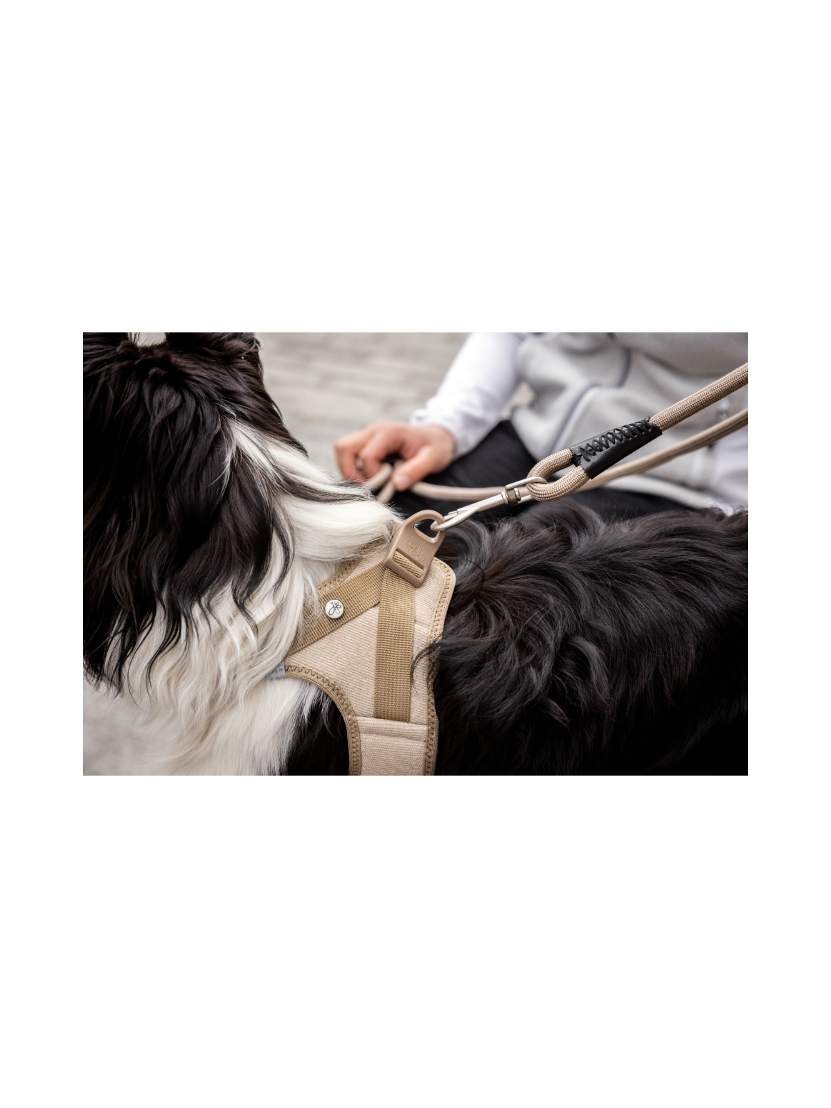 Cord Vest Harness – Tan
