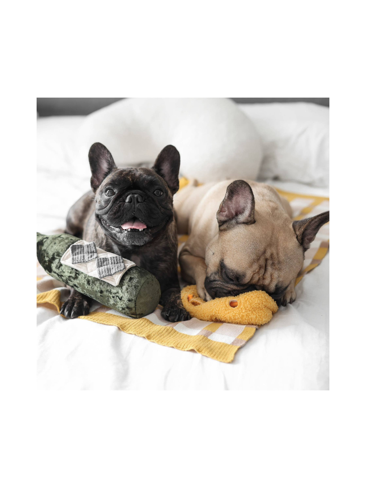 Fromage Enrichment Toy