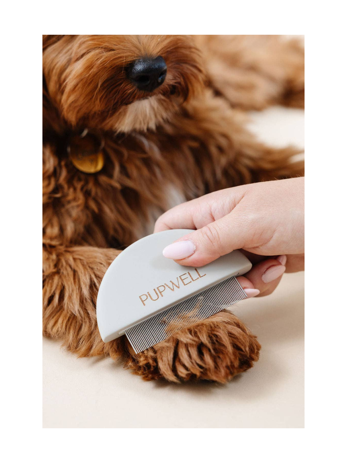 Detailer Comb