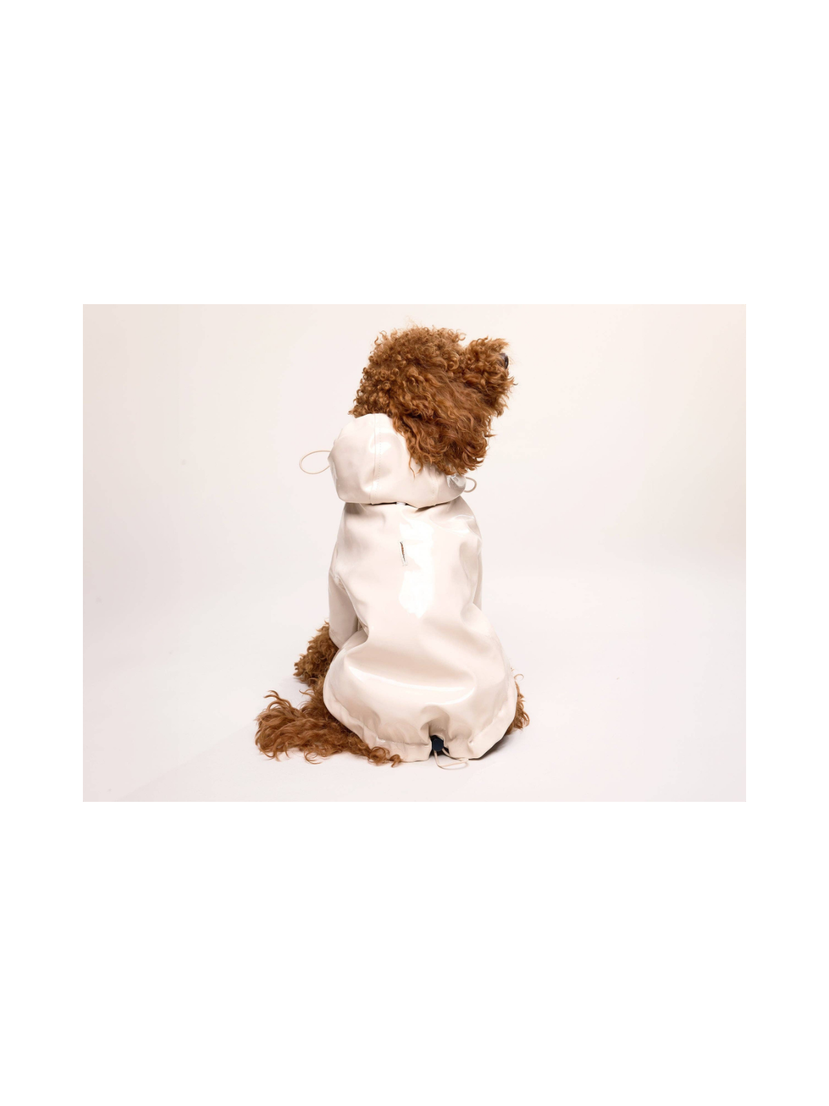 Cream Dog Raincoat