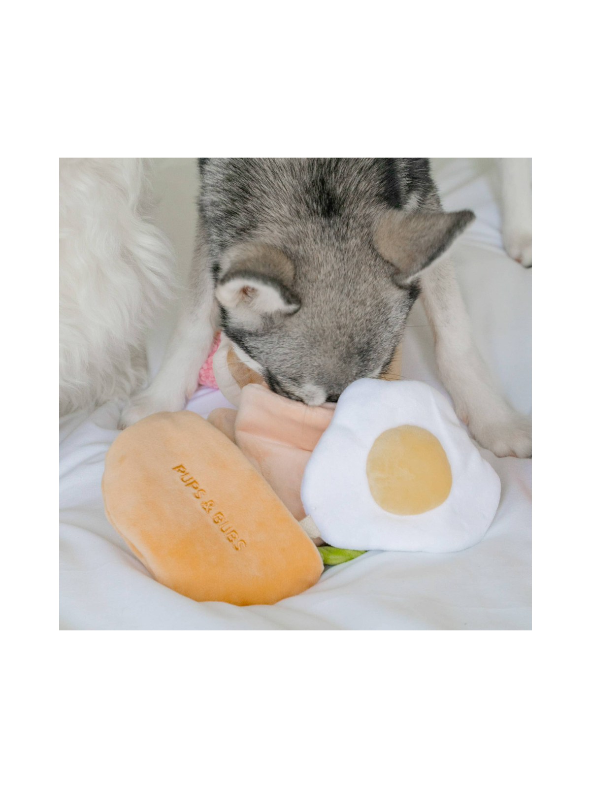 Pita Pocket Nosework Toy