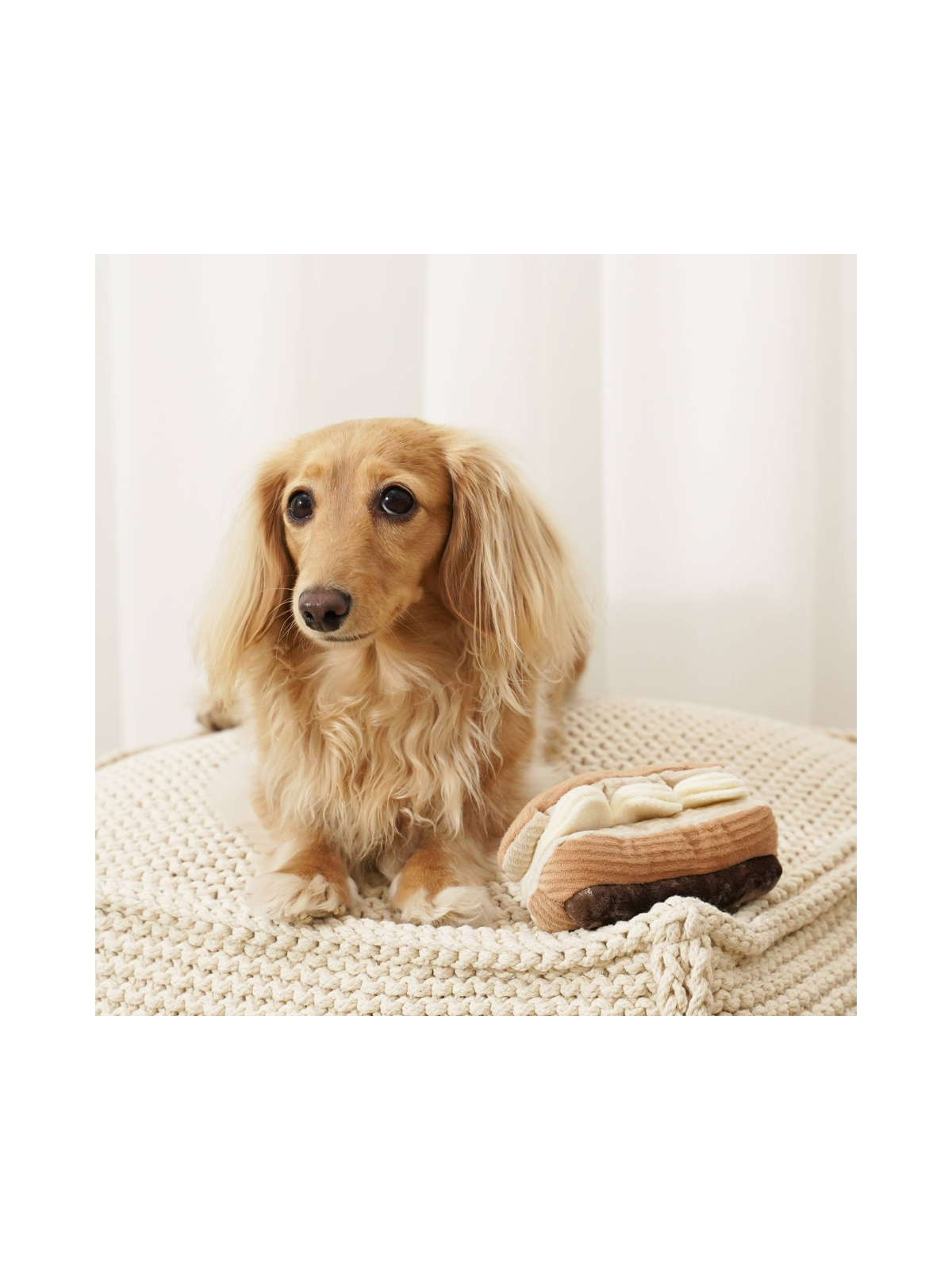 Eclair Enrichment Dog Toy