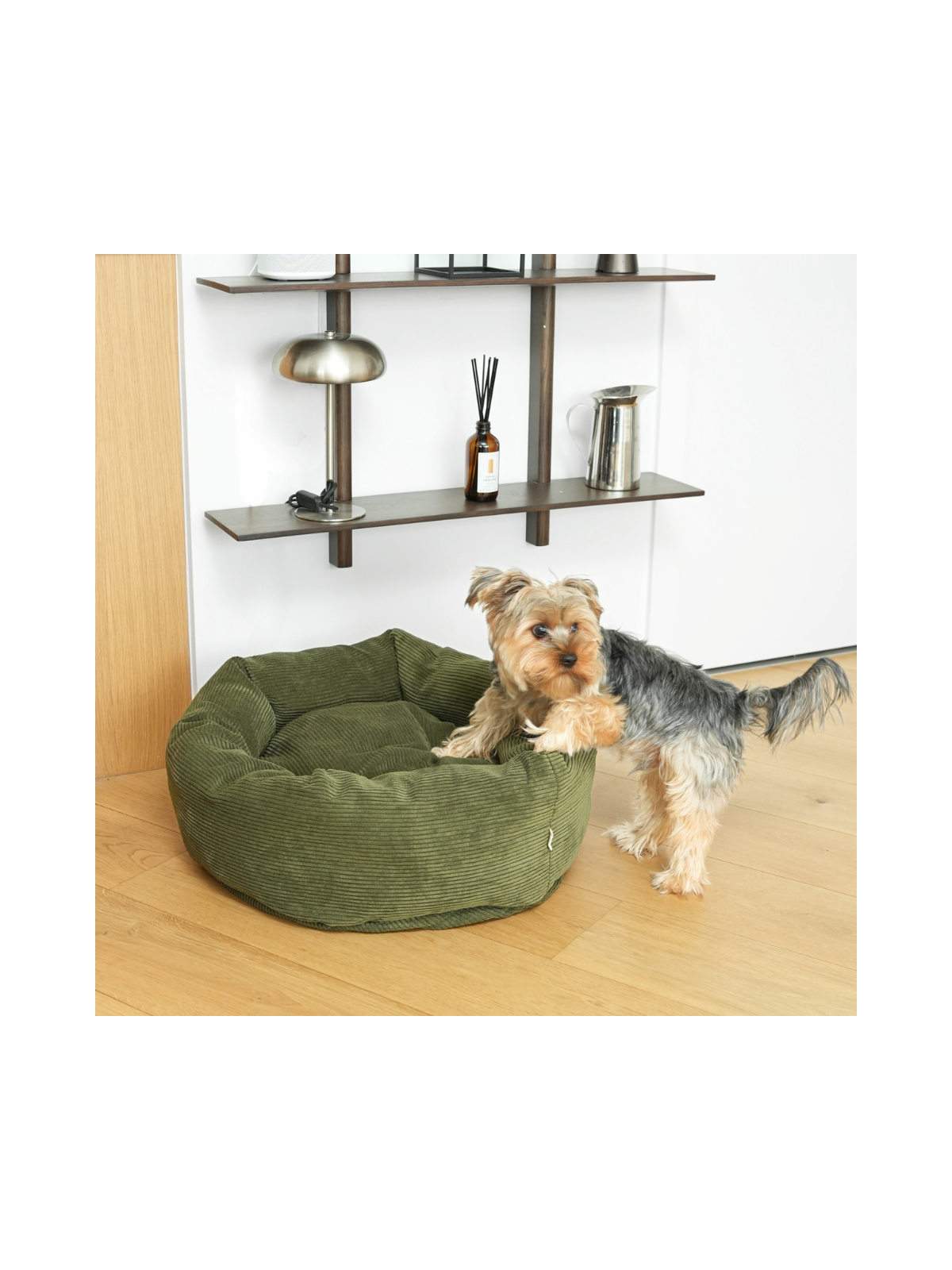 Luna Dog Bed 3.0 – Moss Green Corduroy
