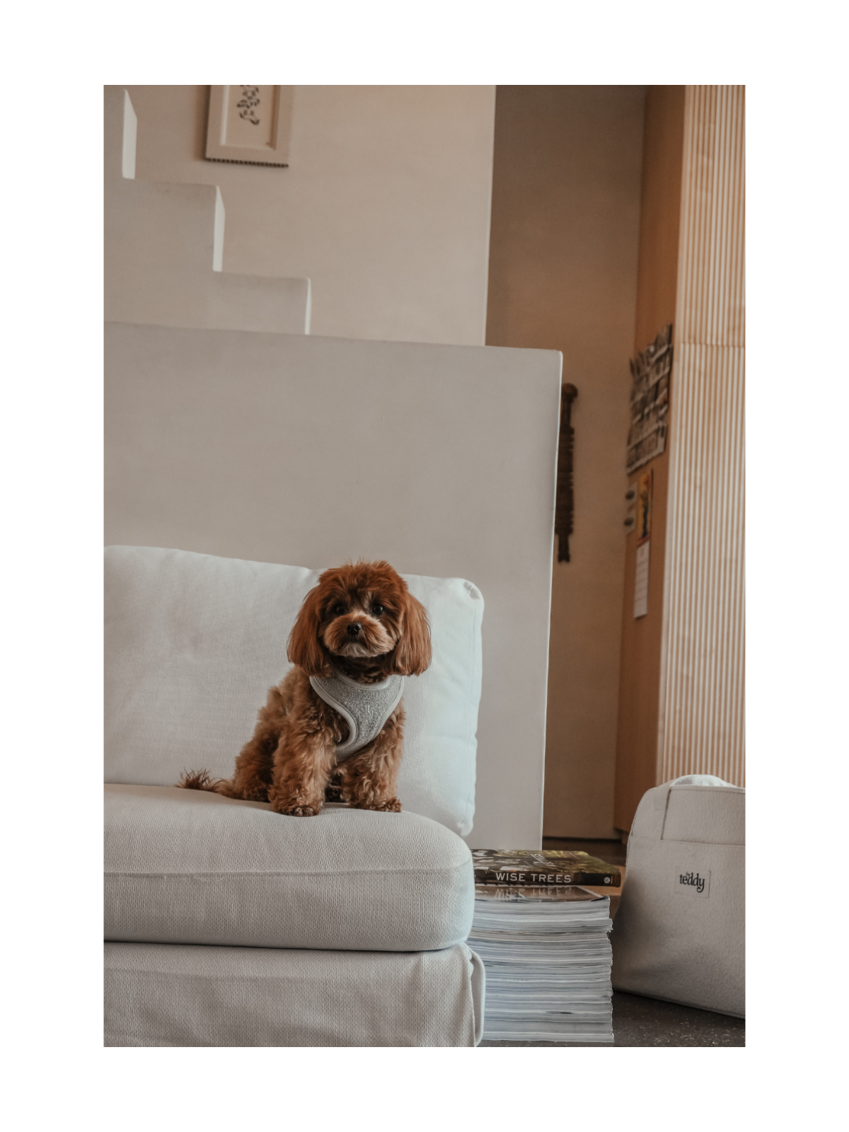 Bouclé Adjustable Harness – Matcha
