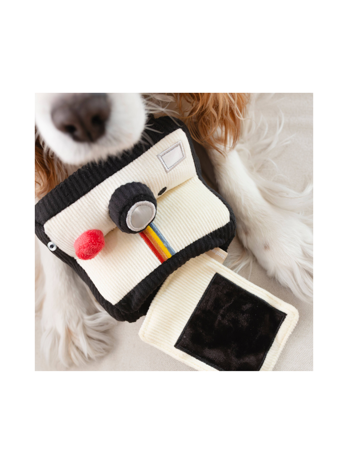Instant Camera Snuffle Toy