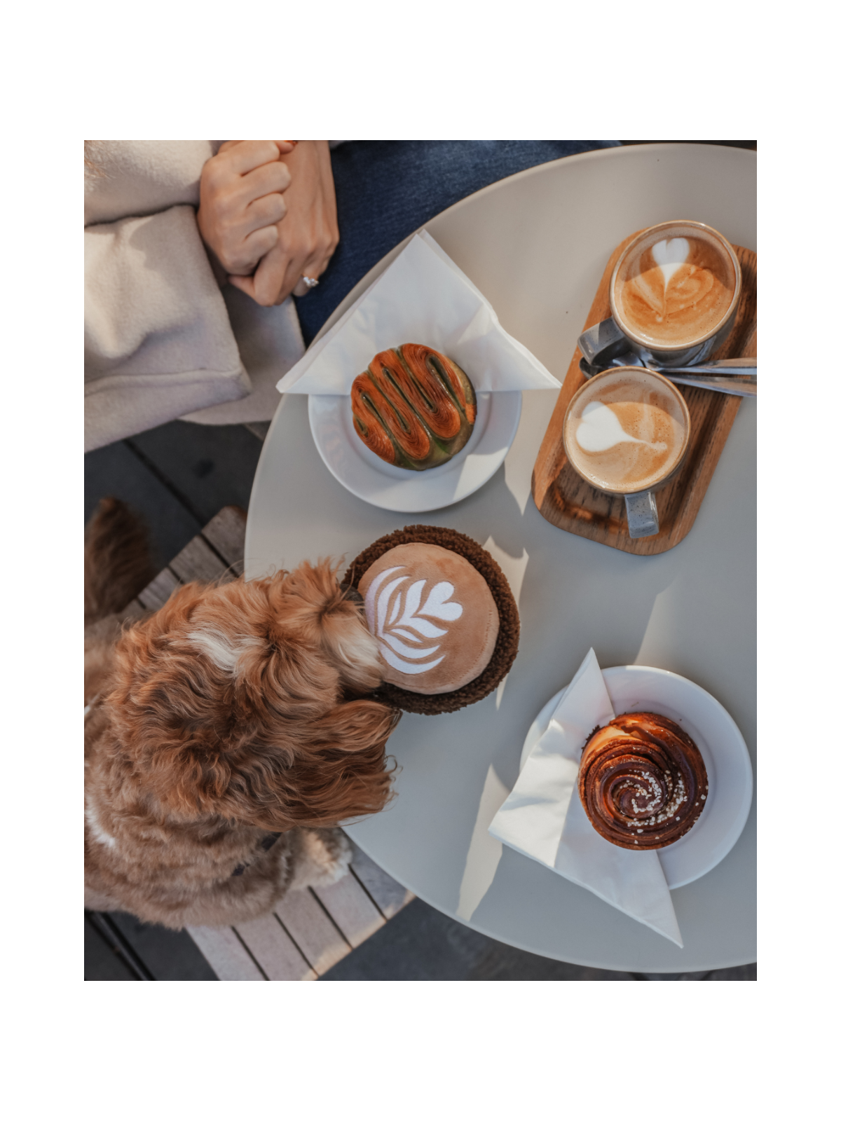 Flat White Cup Interactive Dog Toy