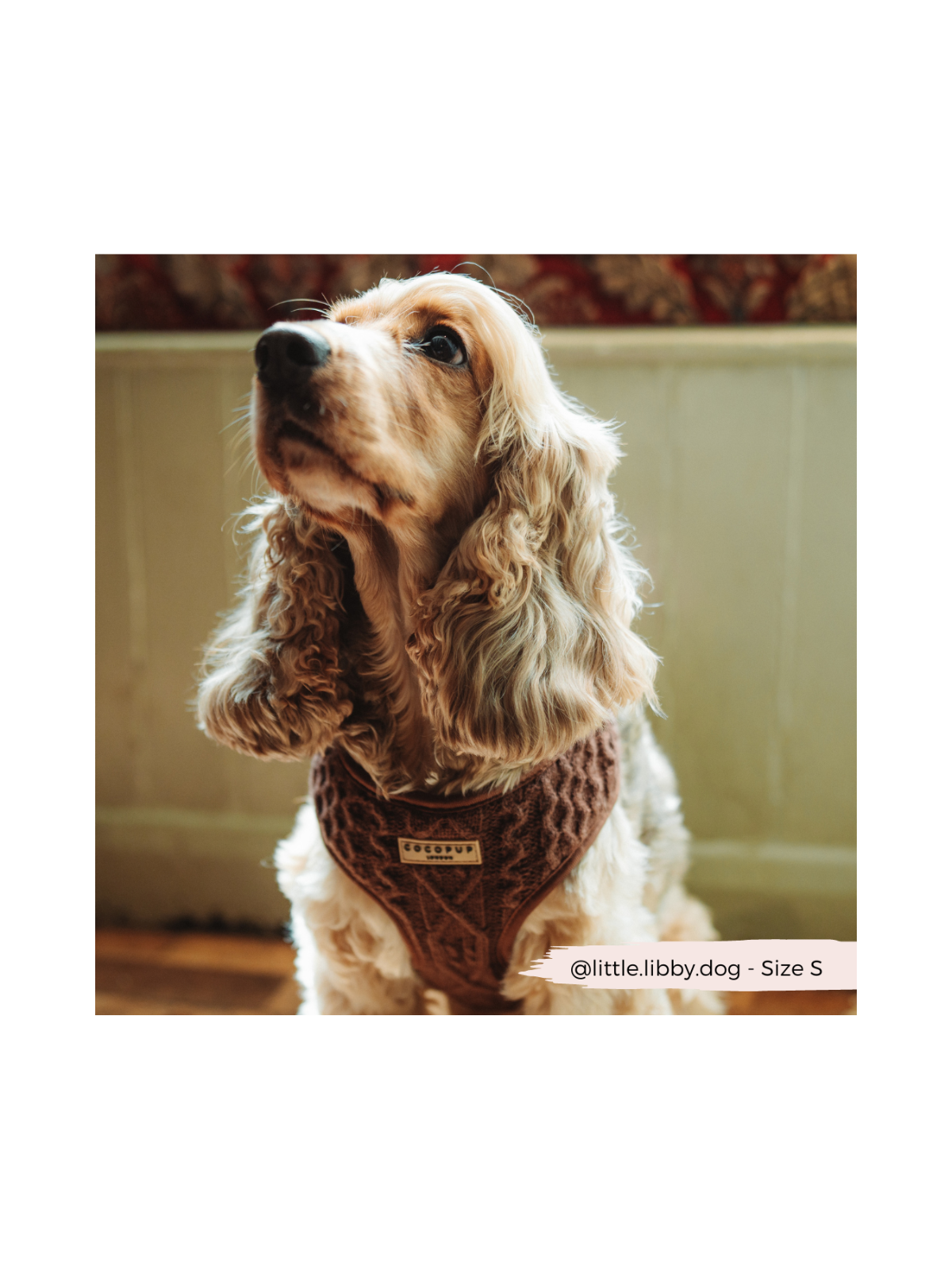 Cable Knit Jumper Adjustable Neck Harness - Hot Coco Brown