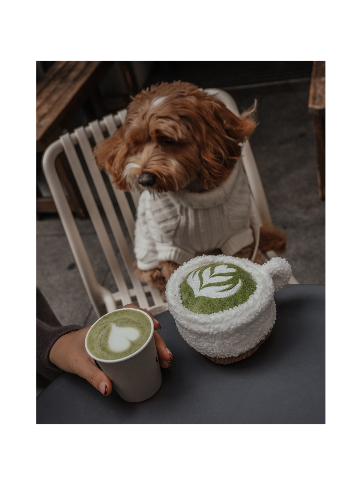 Matcha Latte Cup Interactive Dog Toy