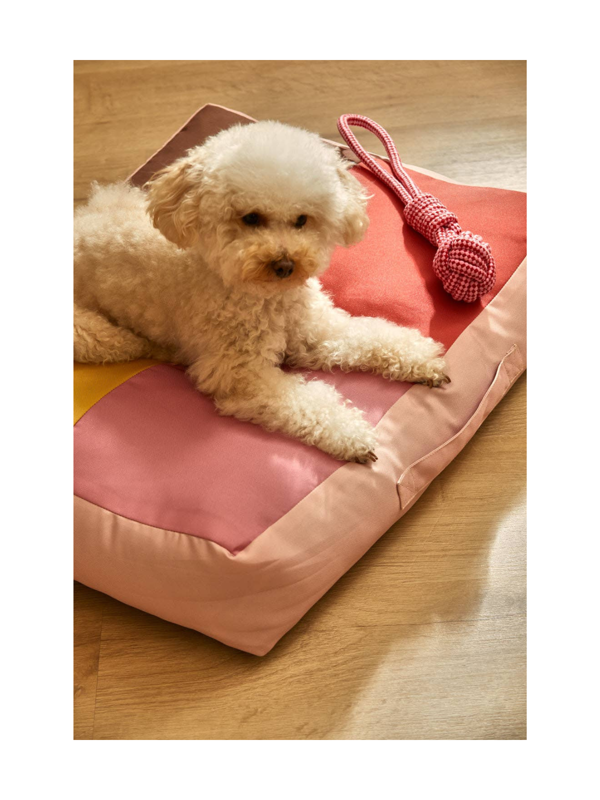 Buby Pet Dog Cushion – Pink