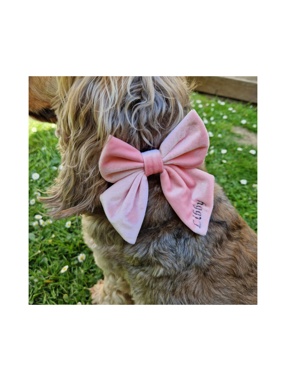 Luxe Velvet Sailor Dog Bow Tie - Baby Pink