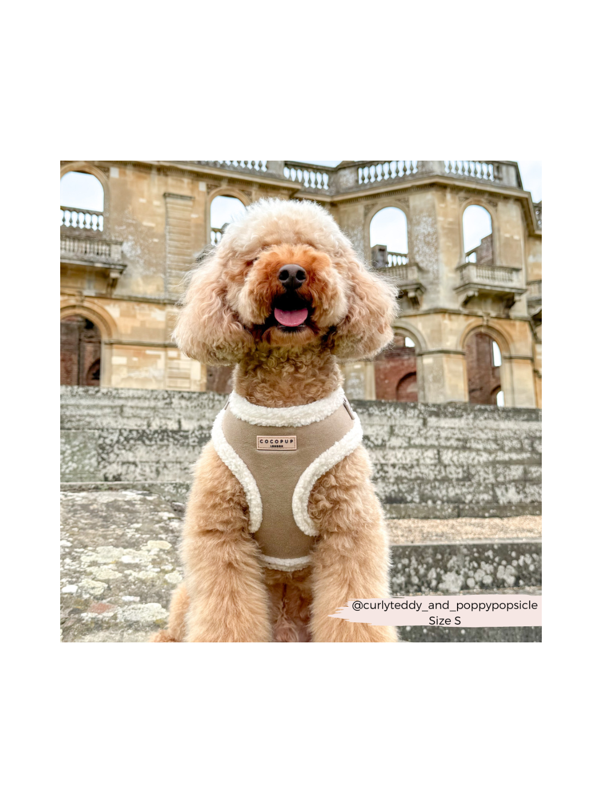 Nude Aviator Adjustable Neck Harness – Faux Suede with Fluffy Trim