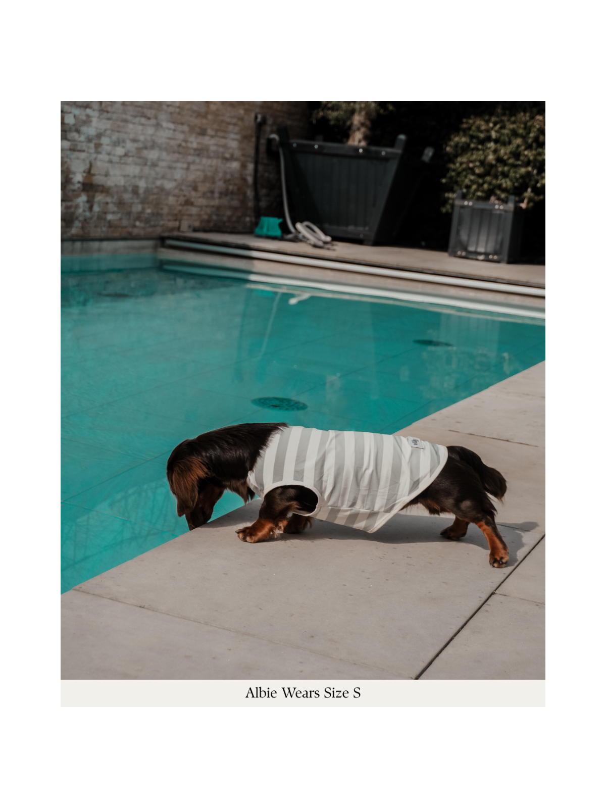 Summer Breeze Cooling Vest – Matcha