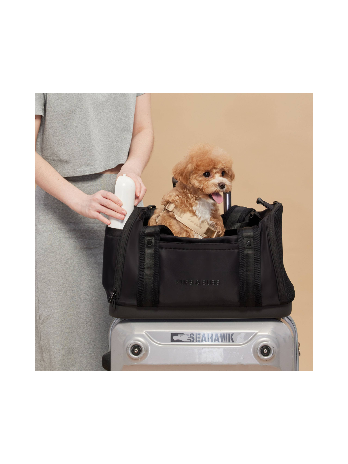 Onboard Travel Pet Carrier