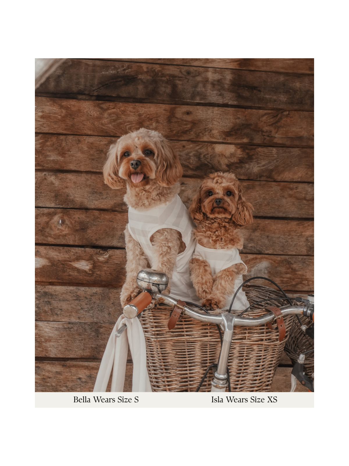 Summer Breeze Cooling Vest – Hazelnut Stripe