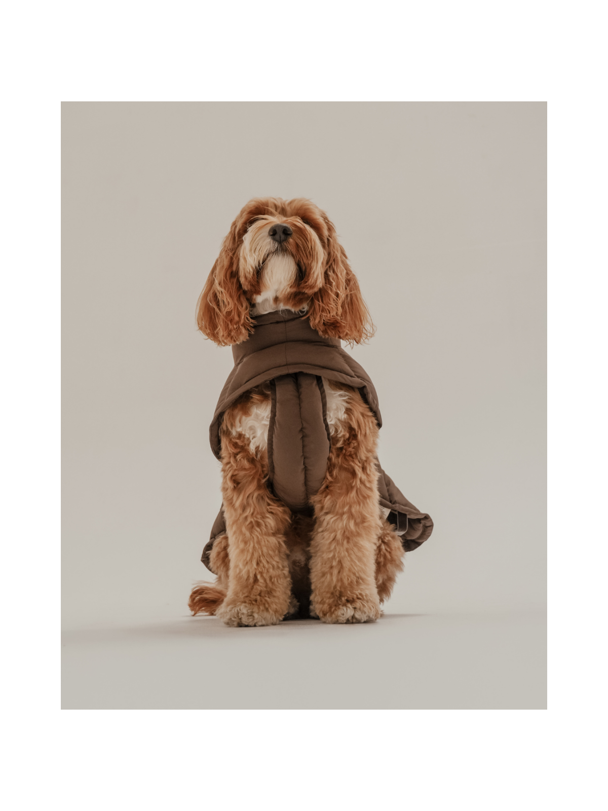 The Capsule Puffer Dog Coat – Chocolate
