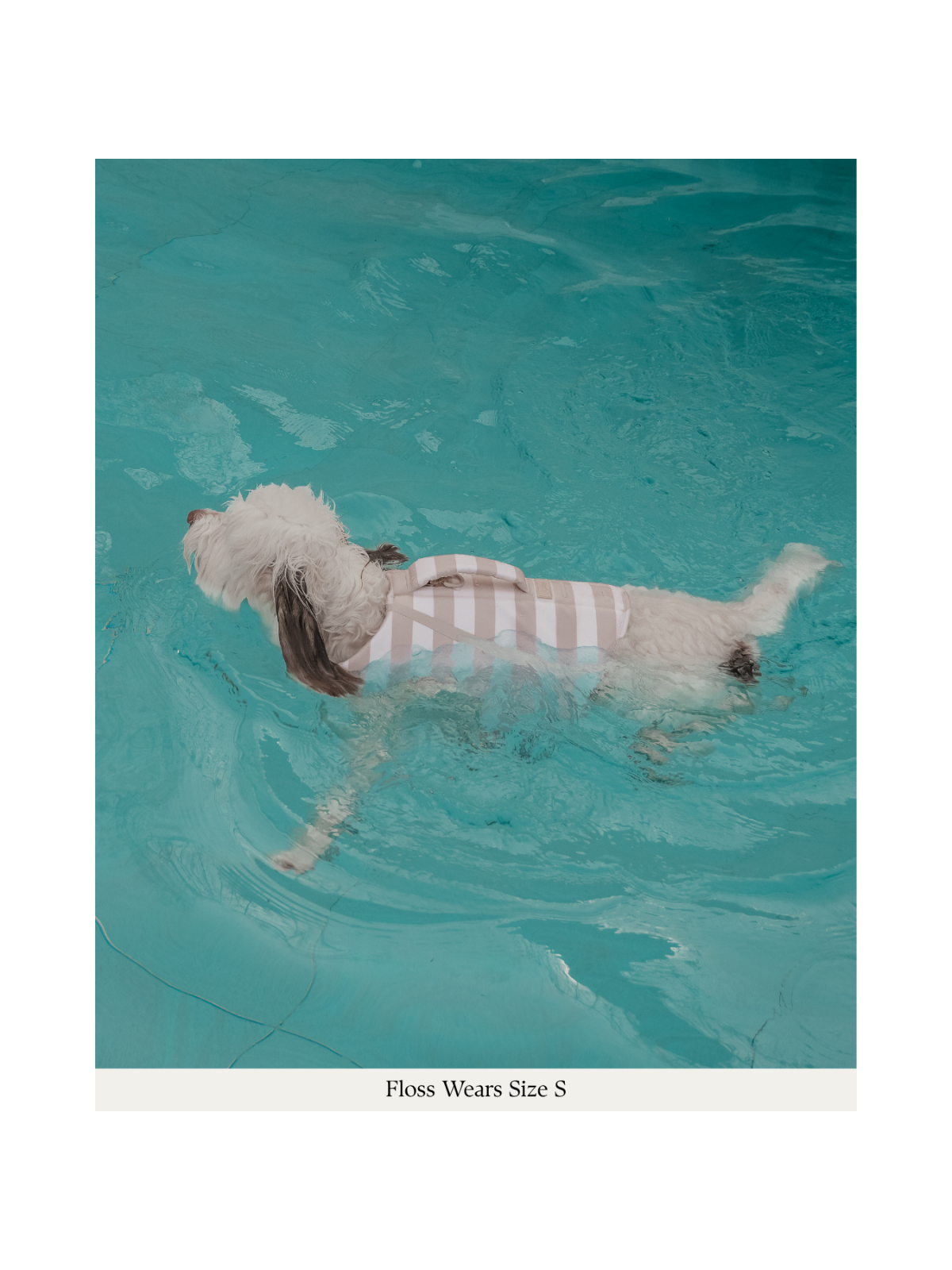 The Tide Rider Life Jacket