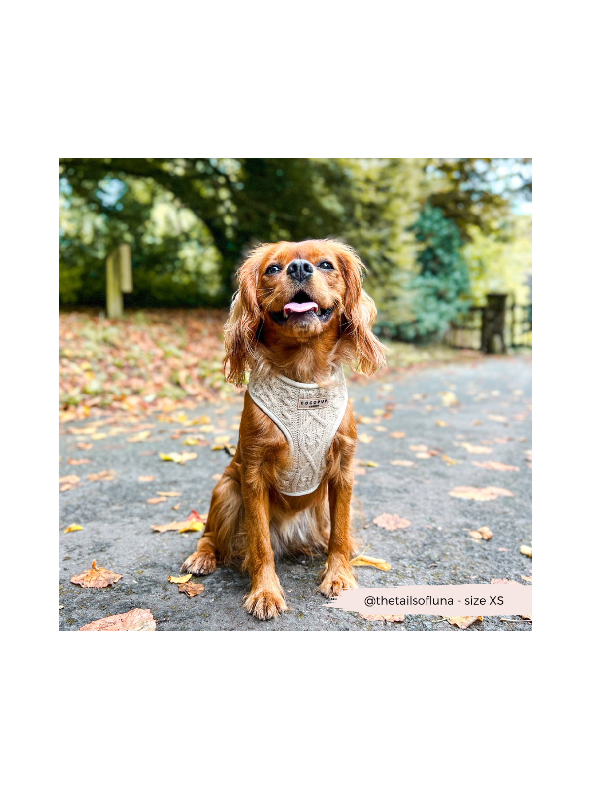 Cable Knit Jumper Adjustable Neck Harness - Toffee Beige