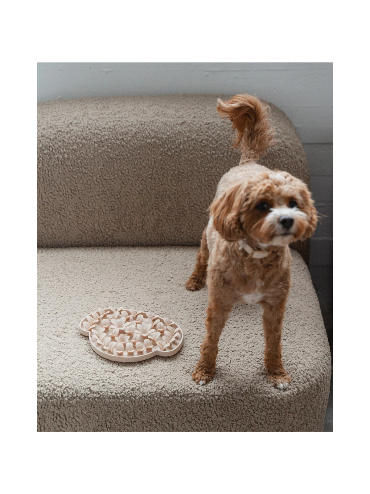 Dog Head Enrichment Snuffle Mat – Nude