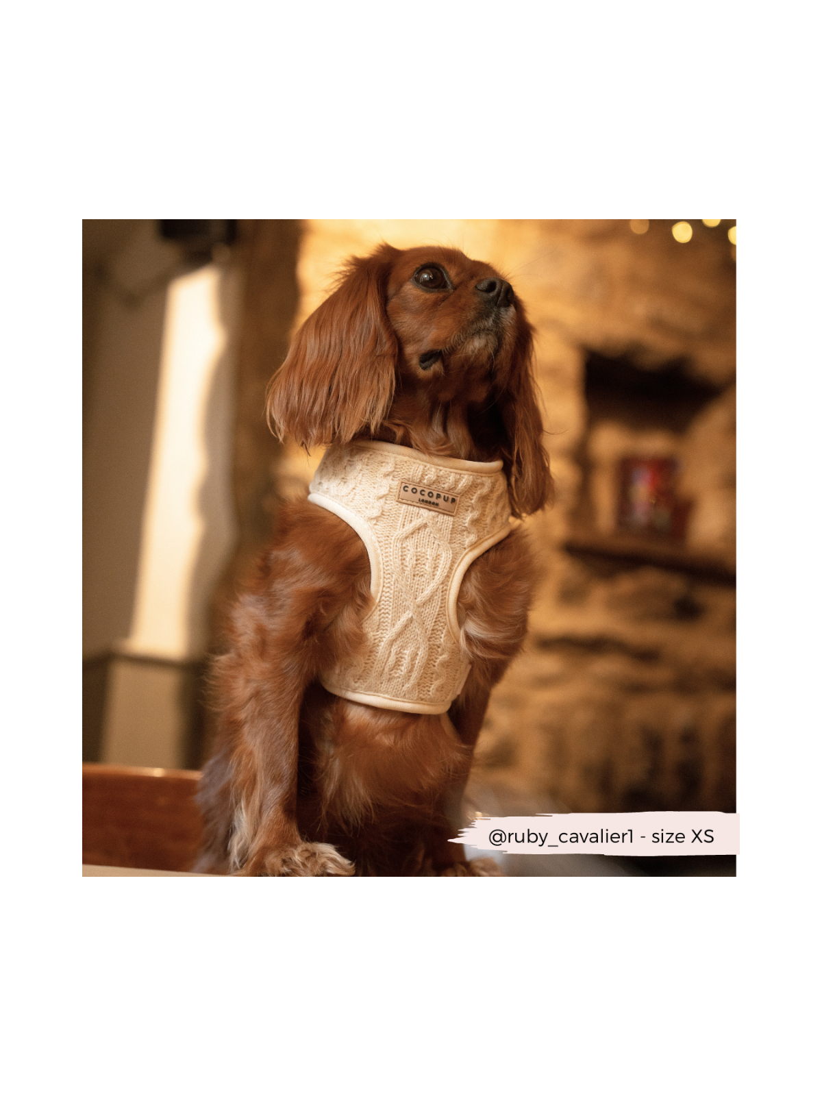 Cable Knit Jumper Adjustable Neck Harness - Vanilla White