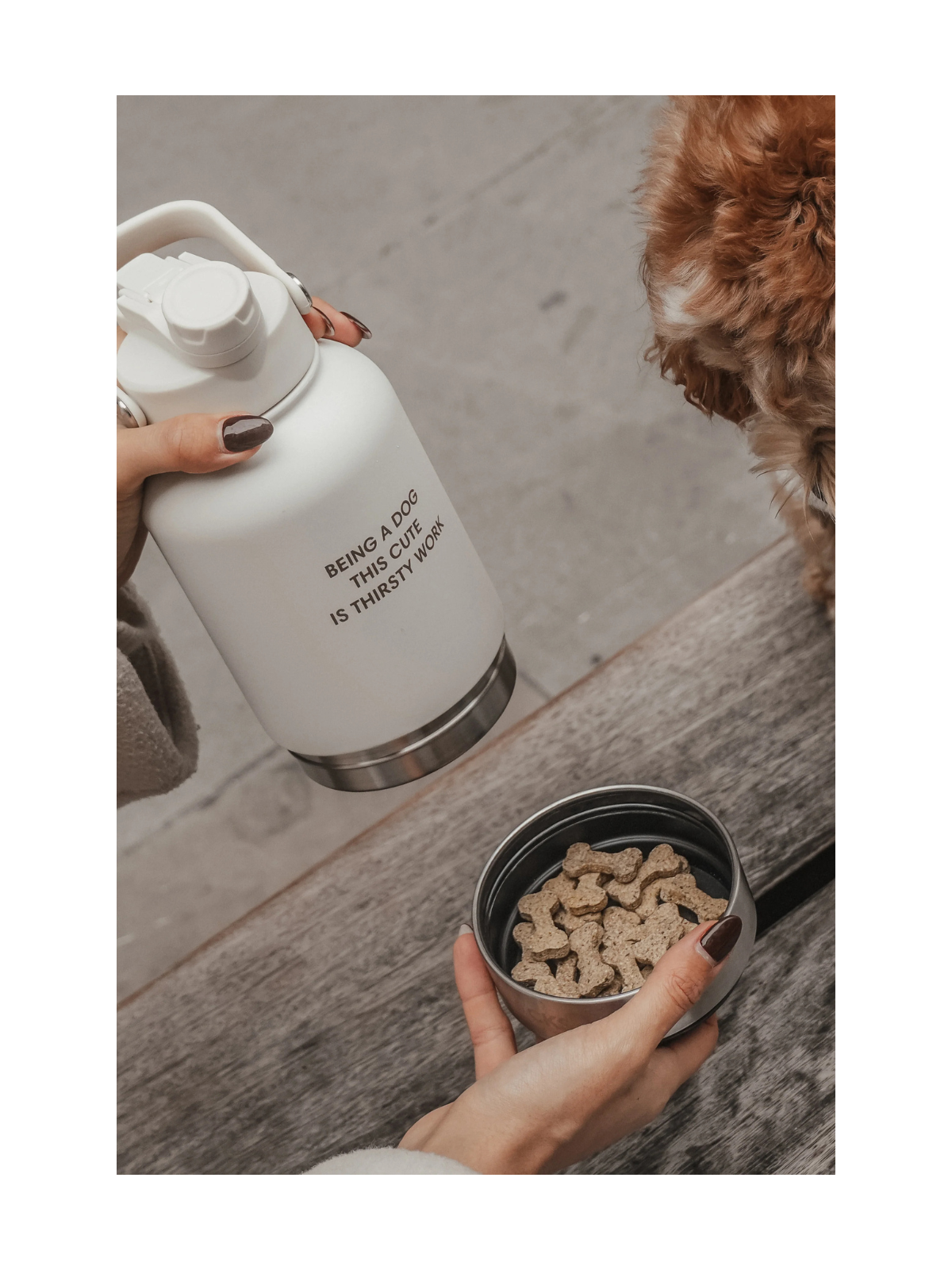 The 3-in-1 Bowl Bottle – Marshmallow