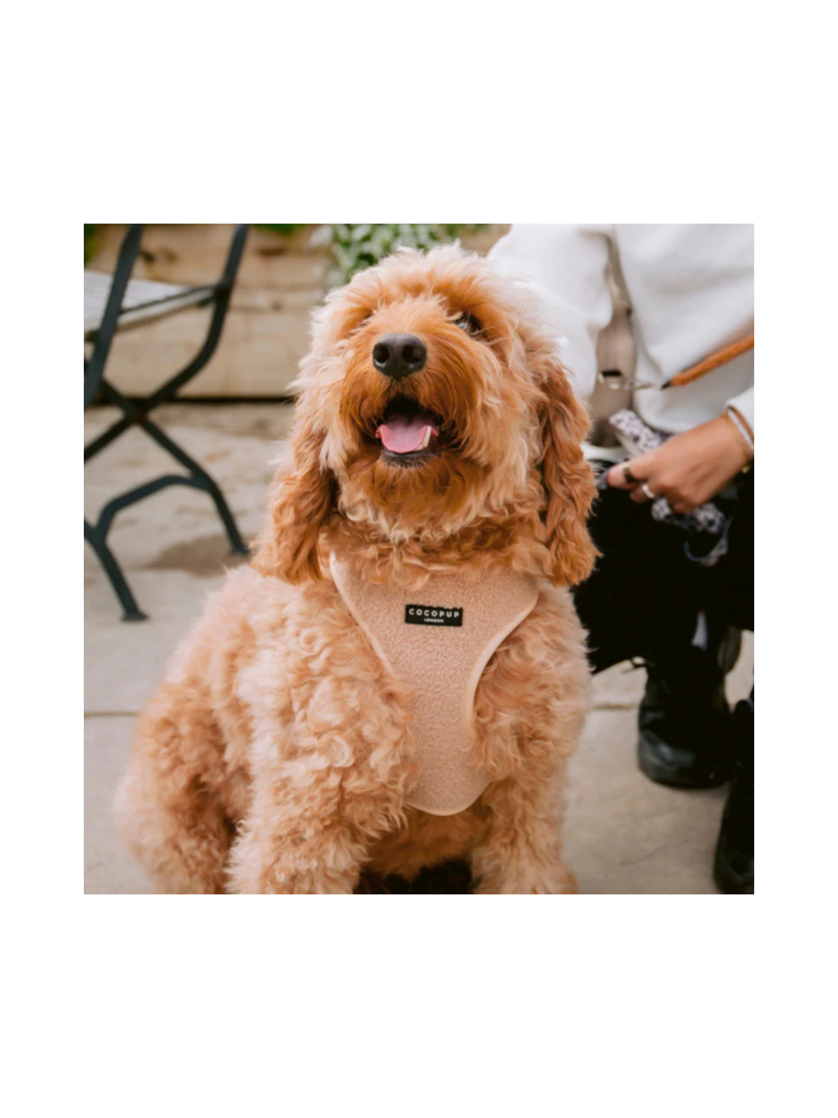 Teddy Adjustable Neck Harness – Rupert Beige