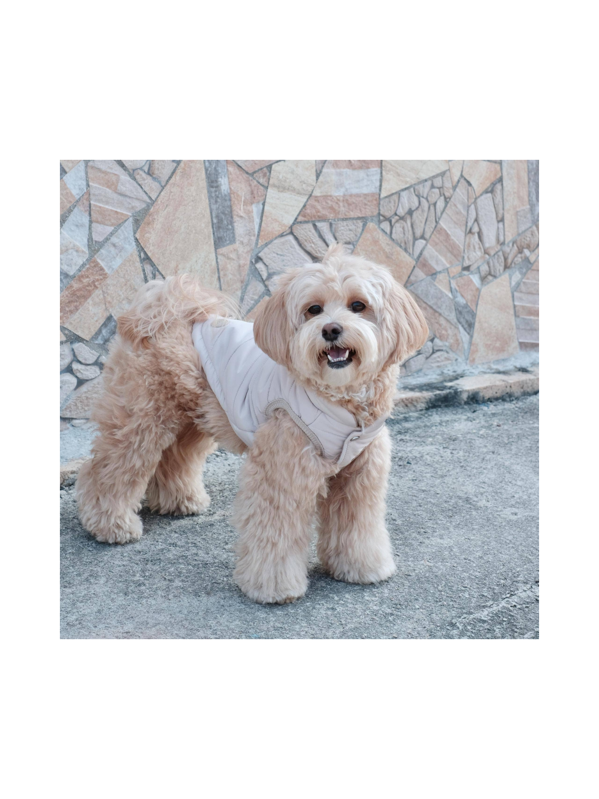 Explorer Puffer Vest – Dunes