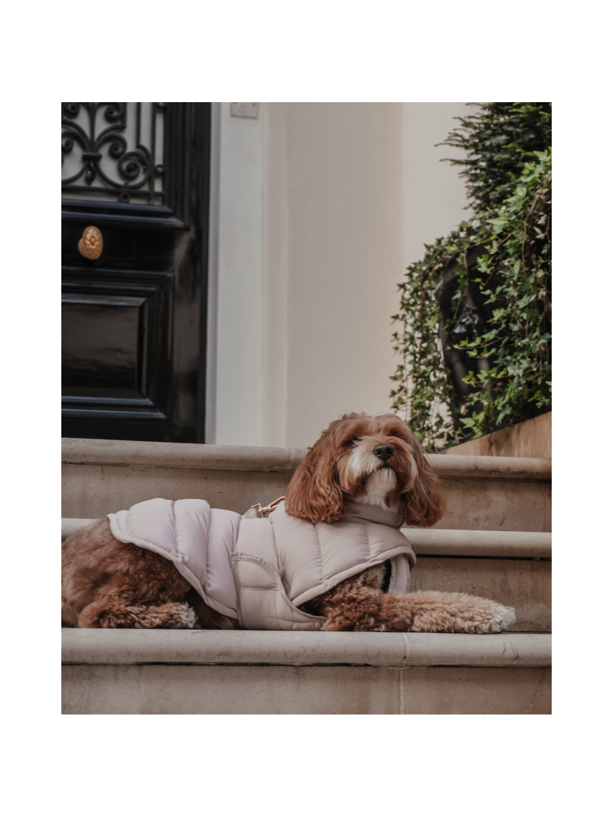 The Capsule Puffer Dog Coat – Hazelnut