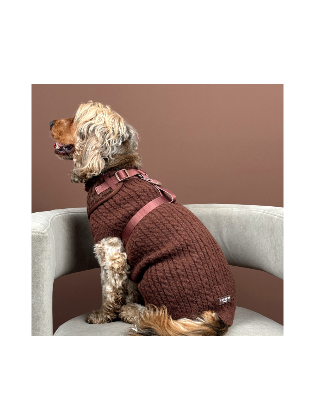 Cable Knit Dog Sweater - Hot Coco