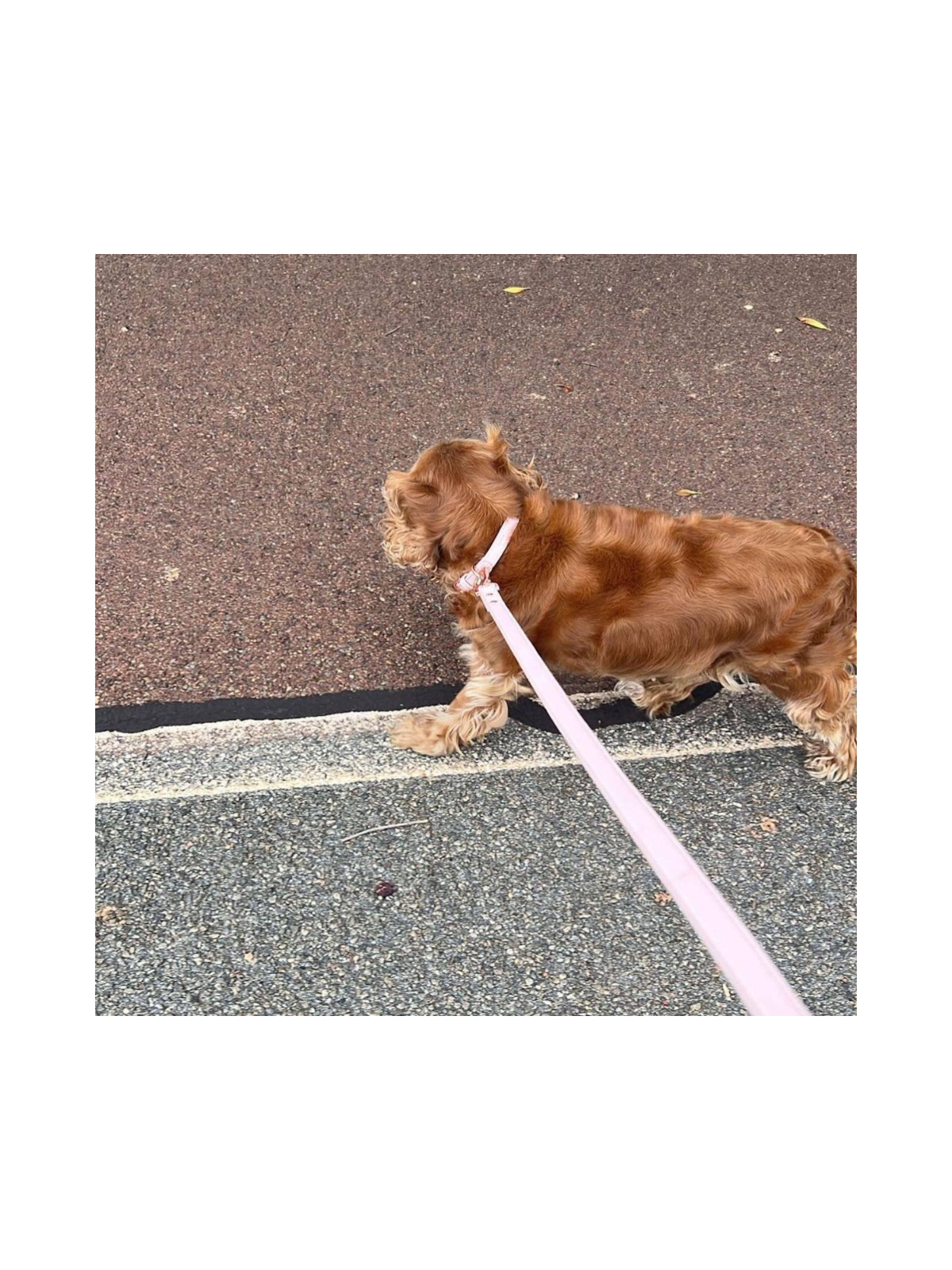 Leash – Marshmallow
