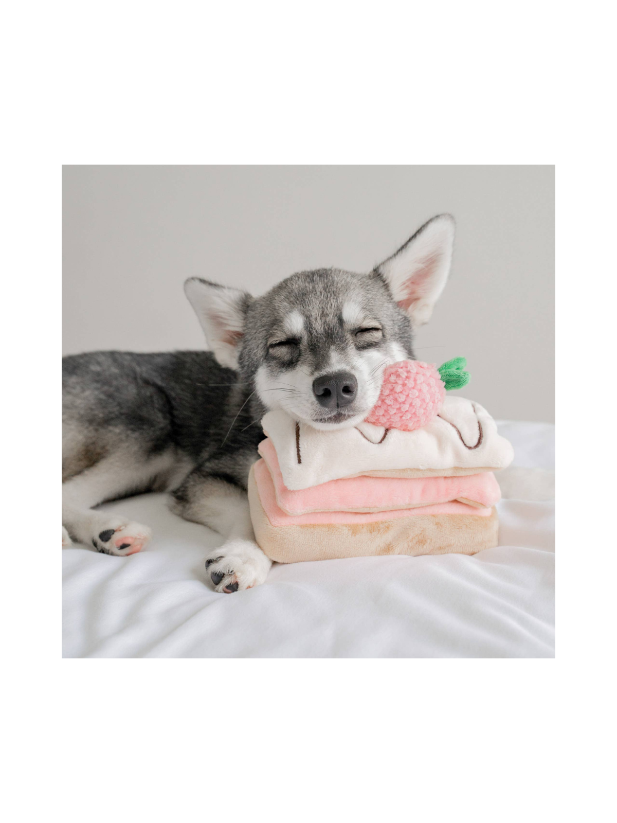 Strawberry Mille-Feuille Nosework Toy