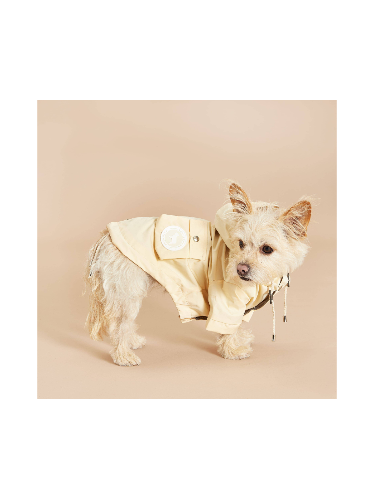 Original Lightweight Dog Raincoat – Yellow