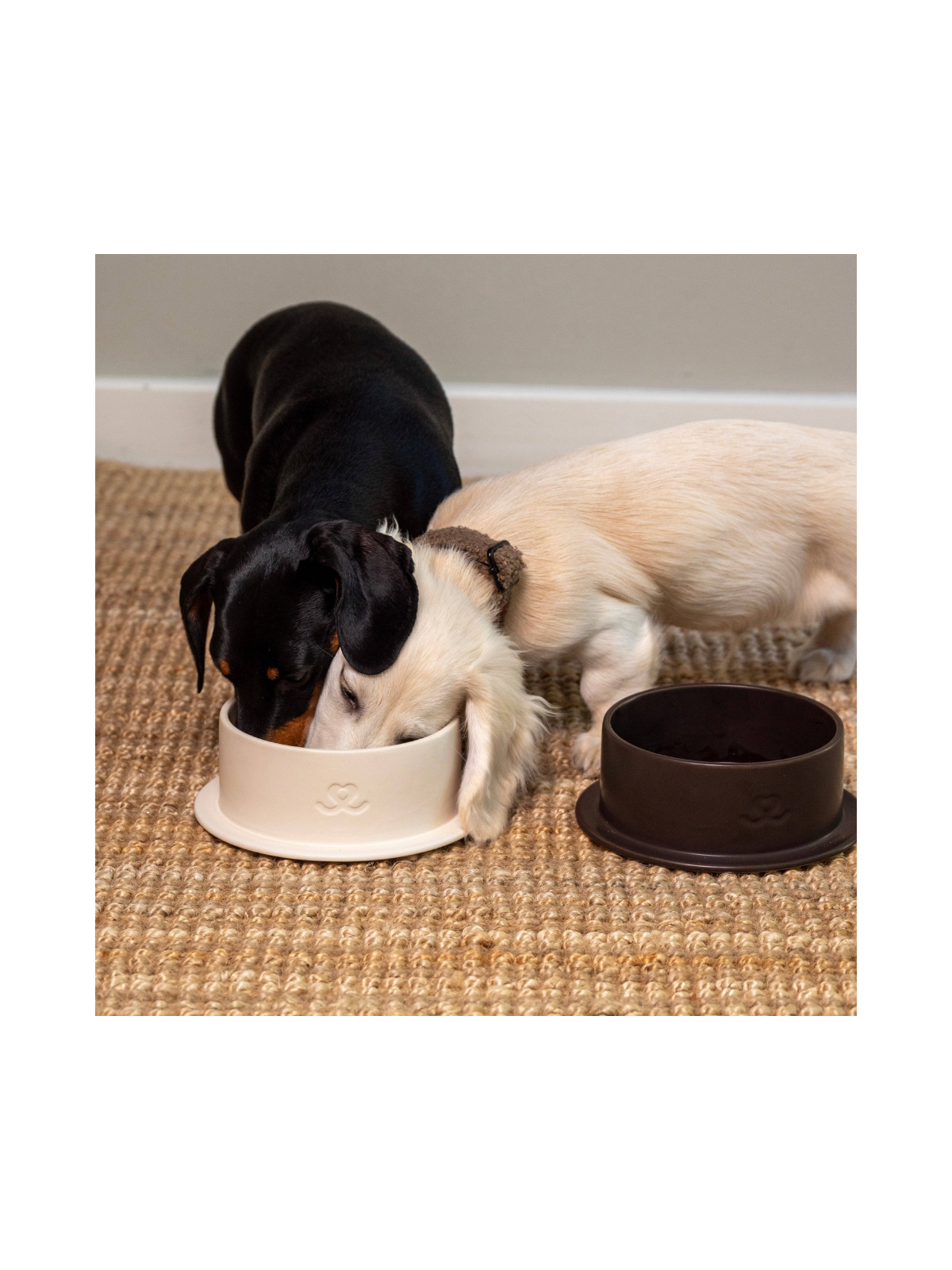 Ceramic Bowl – Eggwhite