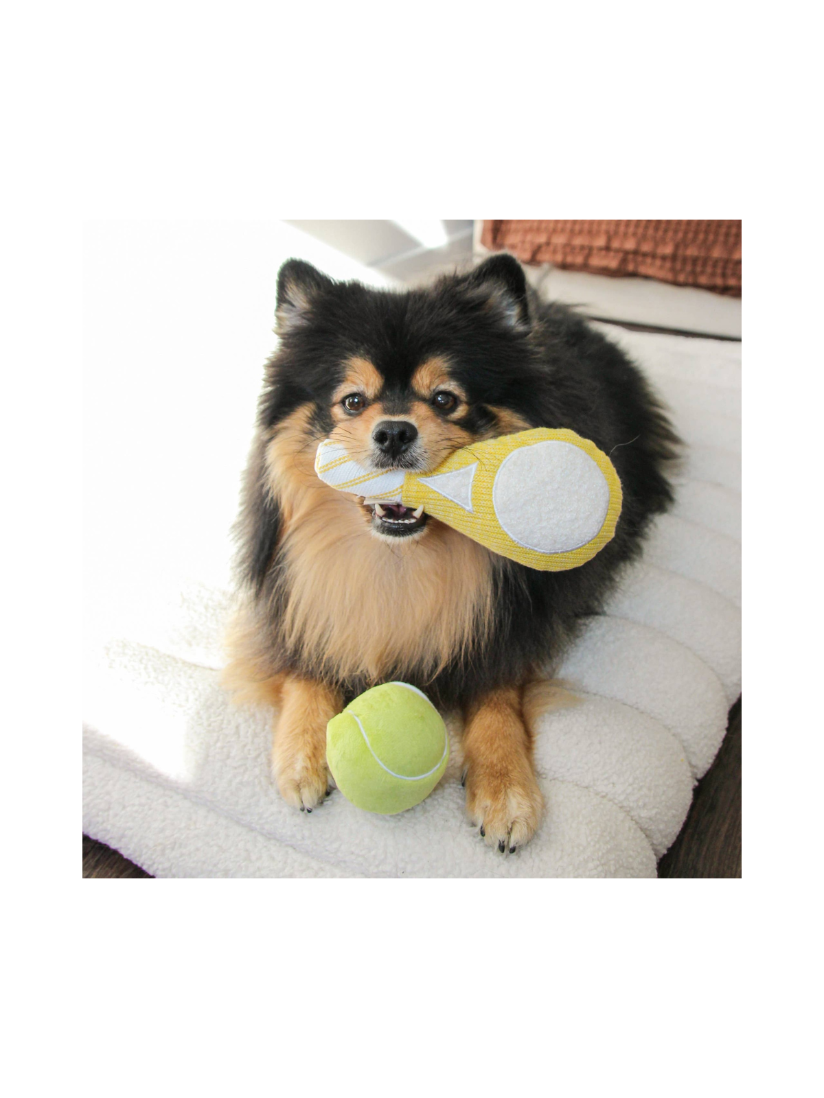 Tennis POP Enrichment Dog Toy