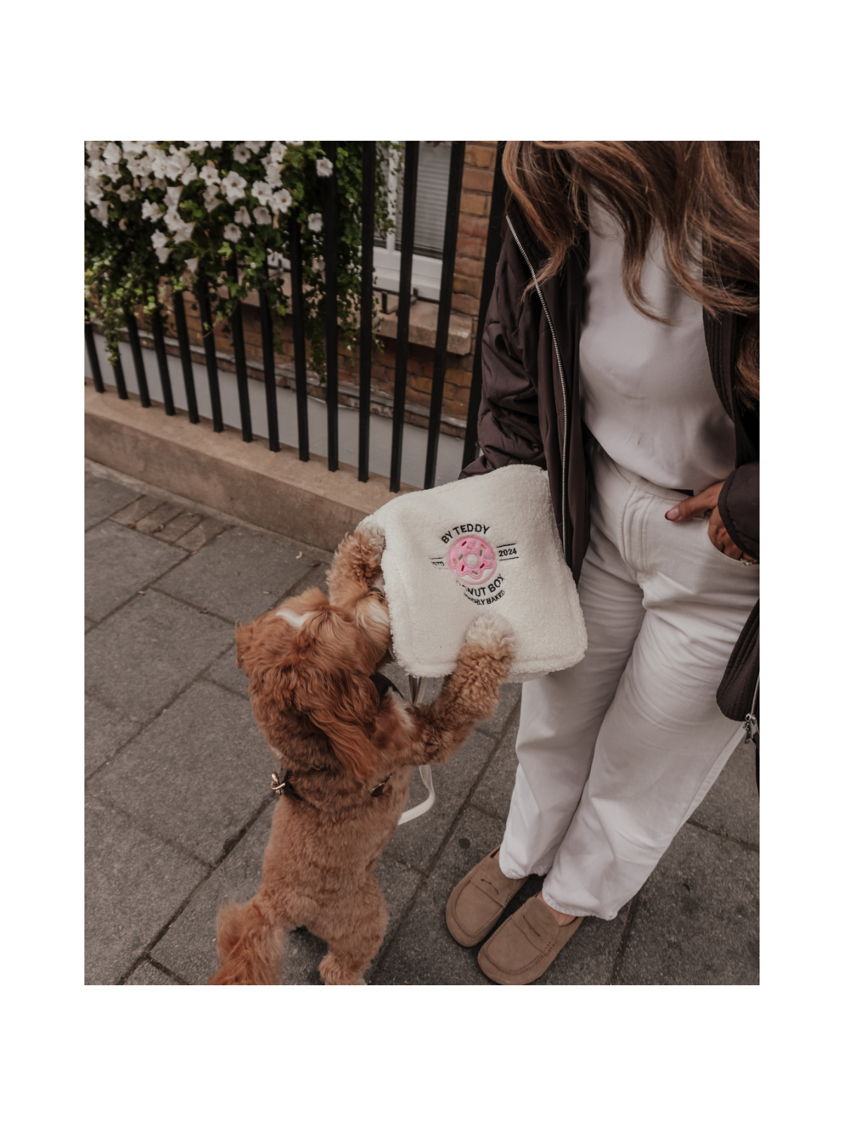 Donut Selection Box Interactive Dog Toy