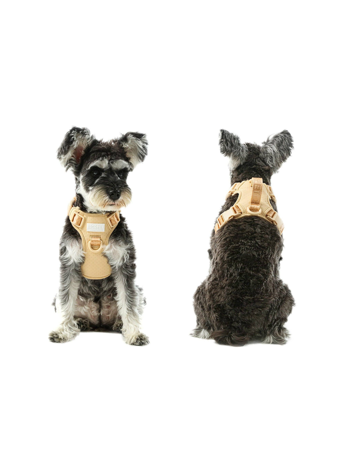No Pull Active Dog Harness – Apricot