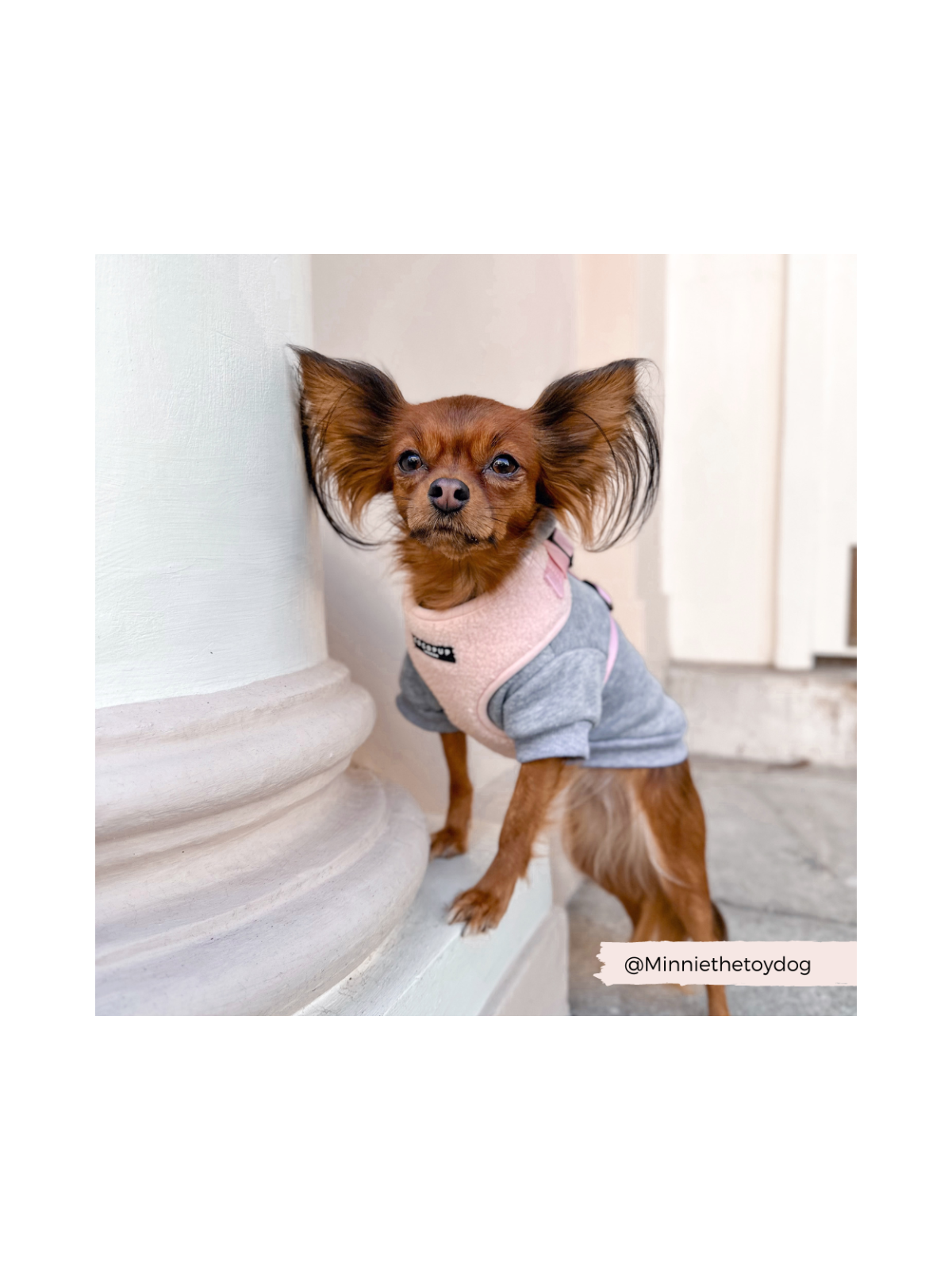 Teddy Adjustable Neck Harness – Love-A-Lot Pink