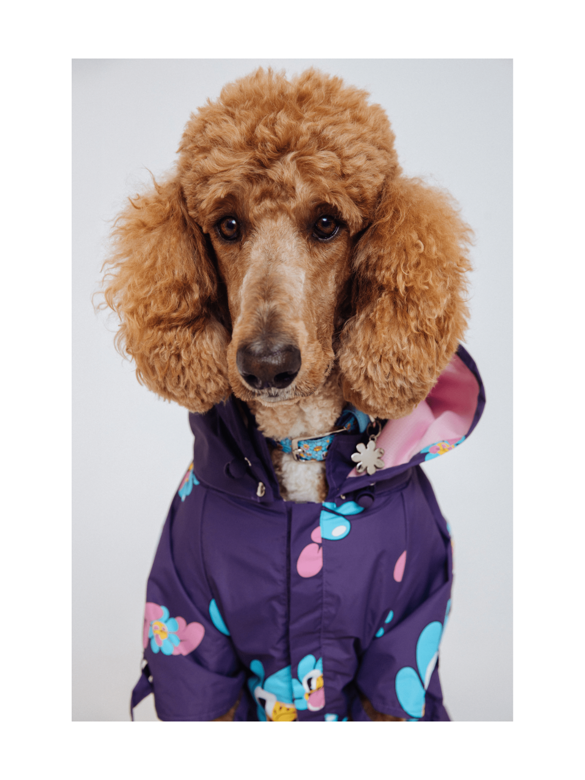 Marc Jacobs x Hattie Stewart Raincoat – Limited Edition Designer Dog Raincoat