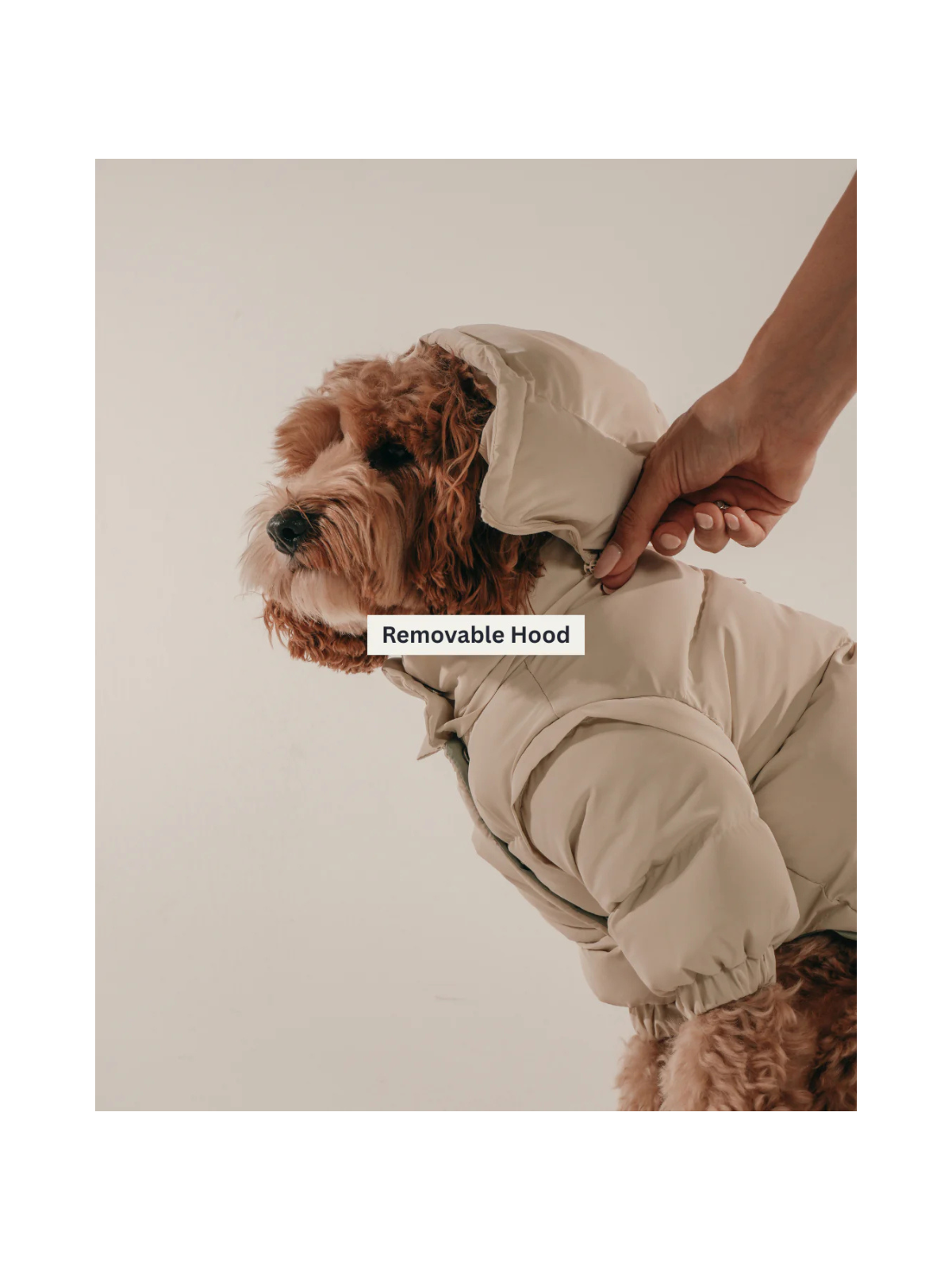 The Modular Puffer - Marshmallow