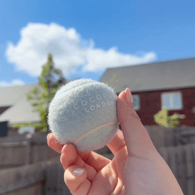 Tennis Ball – Pistachio