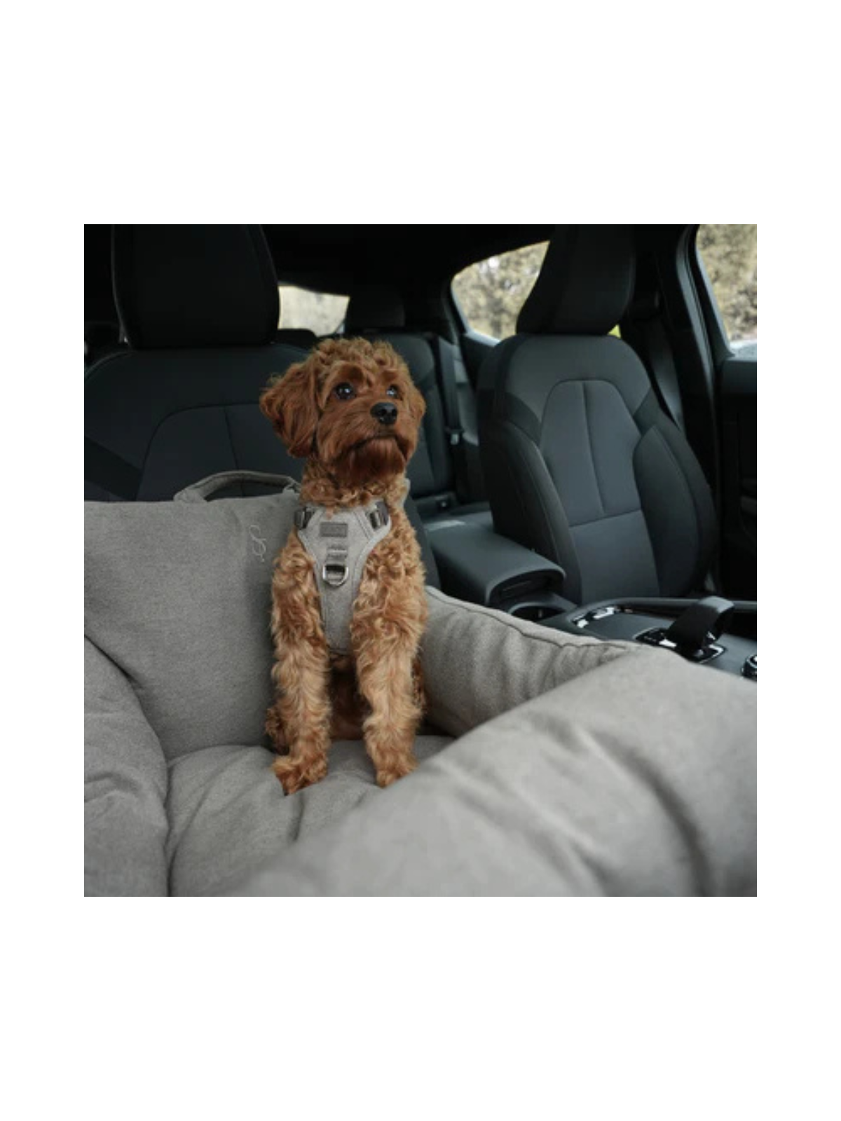 3-in-1 Dog Car Seat & Carrier – Taupe