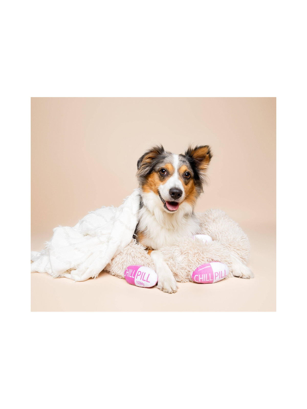 Chill Pill Dog Toy