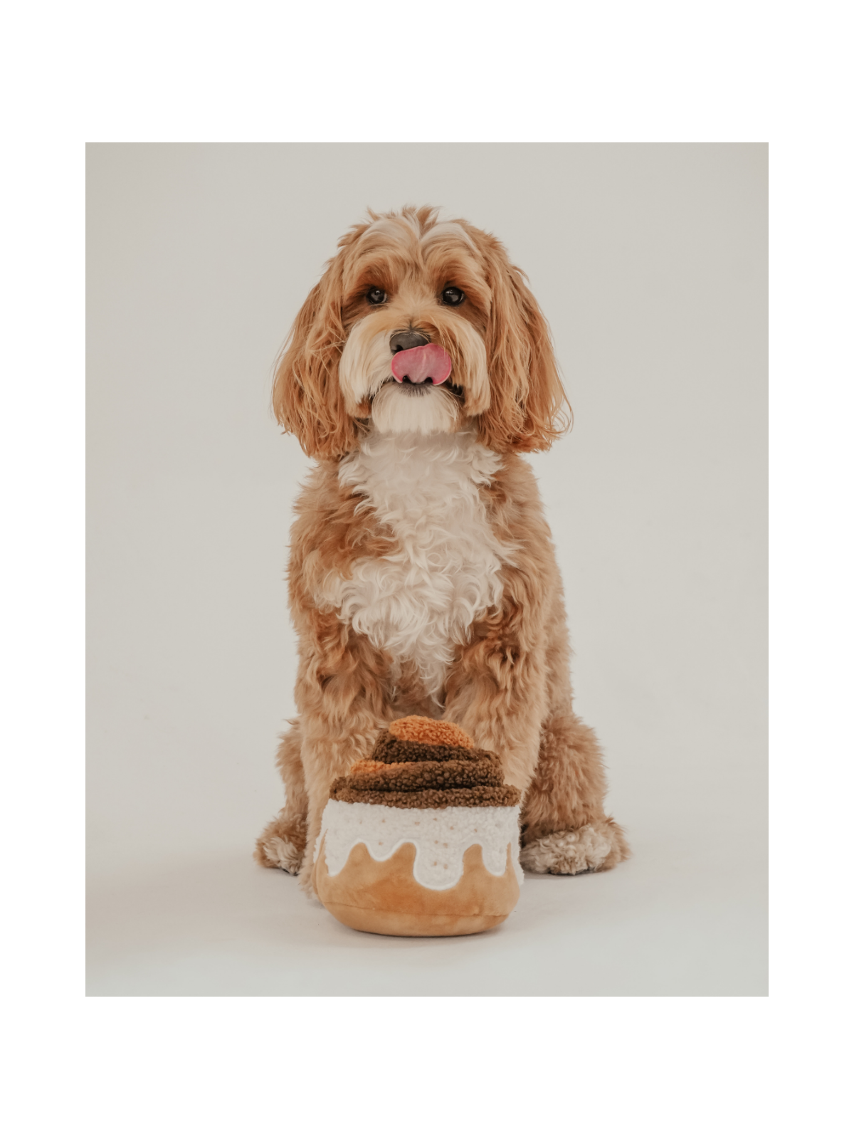 Cinnamon Roll Interactive Dog Toy