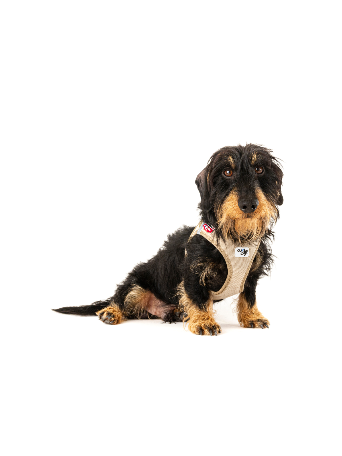 Cord Vest Harness – Tan