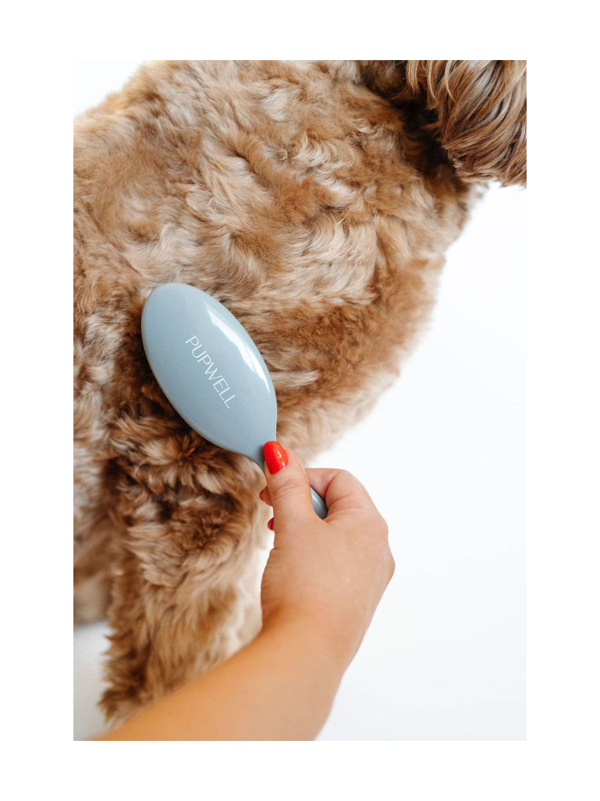 Gentle Detangling Brush