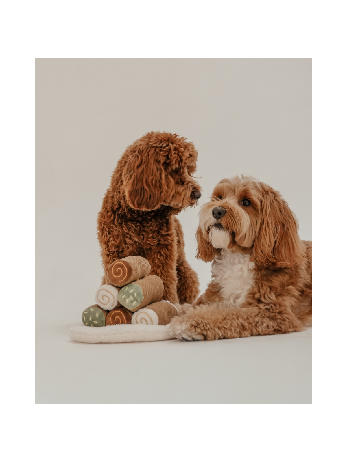 Cannoli Pyramid Interactive Dog Toy