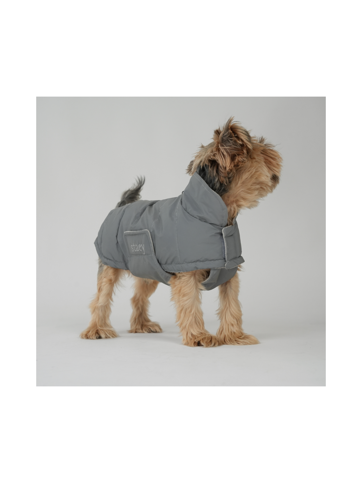 Nora Dog Coat – Reflective